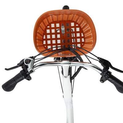 DYU C6 26 Inch City Electric Bike