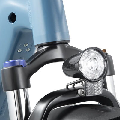 DYU FF500 20 Inch Fat Tire Electric Bike