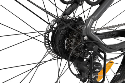 DYU C1 26 Inch City Electric Bike