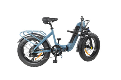 DYU FF500 20 Inch Fat Tire Electric Bike