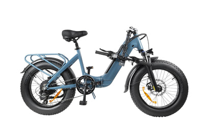 DYU FF500 20 Inch Fat Tire Electric Bike