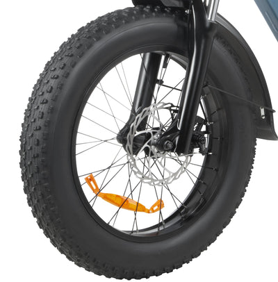 DYU FF500 20 Inch Fat Tire Electric Bike