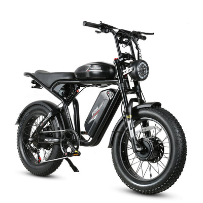 M20-III 2000W Electric Bicycle